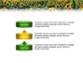 Field of Sunflowers slide 10