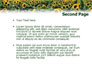 Field of Sunflowers slide 2