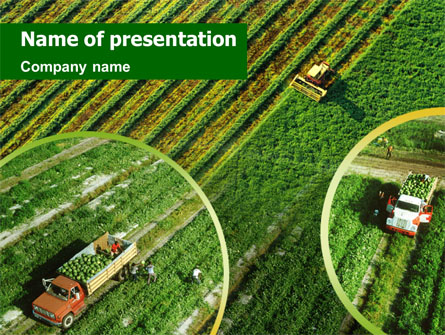Harvesting Presentation Template, Master Slide