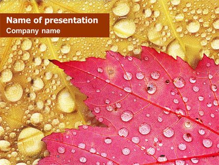 Leaves in Dew Presentation Template, Master Slide