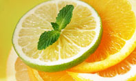 Citrus Presentation Template