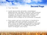 Wheat Field slide 2
