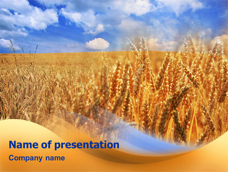 Wheat Field Presentation Template, Master Slide