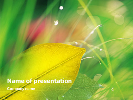 Yellow Leaf In Green Grass Presentation Template, Master Slide
