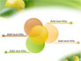 Green And Yellow Lemons In Line slide 10