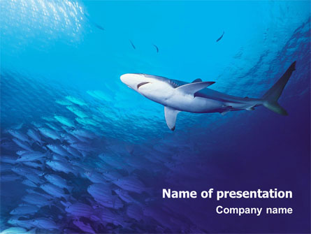 Ocean Wildlife Presentation Template, Master Slide