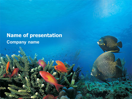 Coral Reef Presentation Template, Master Slide