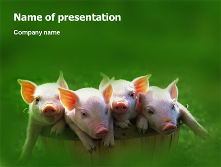 Pig Presentation Template, Master Slide