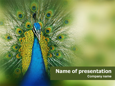 Peacock Presentation Template, Master Slide