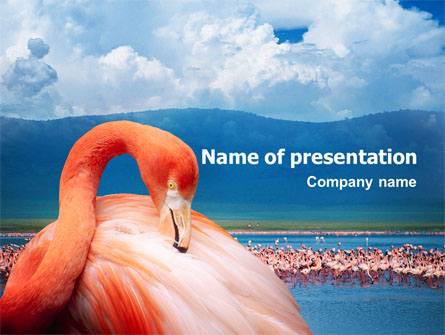 Flamingo Presentation Template, Master Slide