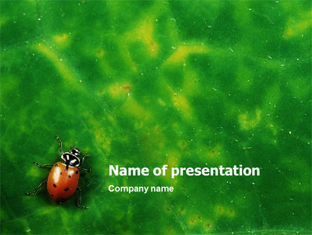 Bug Presentation Template, Master Slide
