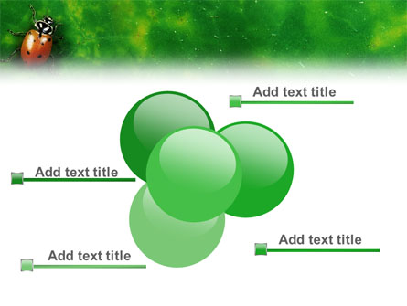 Bug Presentation Template for PowerPoint and Keynote | PPT Star