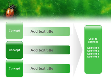 Bug Presentation Template for PowerPoint and Keynote | PPT Star