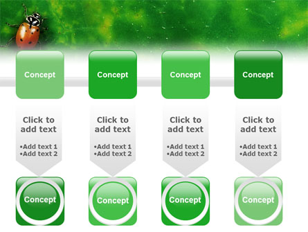 Bug Presentation Template for PowerPoint and Keynote | PPT Star