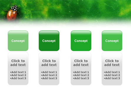 Bug Presentation Template for PowerPoint and Keynote | PPT Star