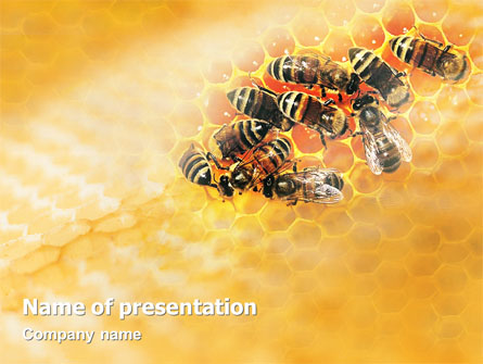 Cells and Bees Presentation Template, Master Slide