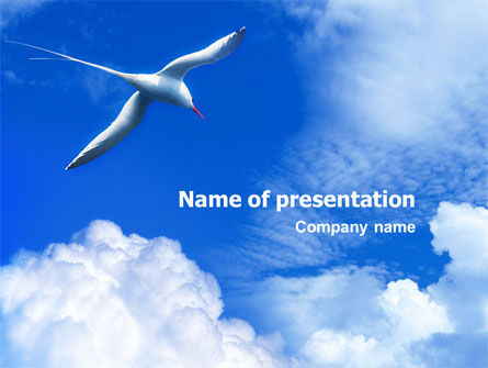 Sea Gull Presentation Template, Master Slide