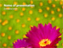 Bright Flower slide 1