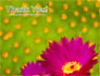 Bright Flower slide 20