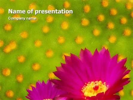 Bright Flower Presentation Template, Master Slide