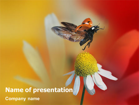 Ladybug Presentation Template, Master Slide