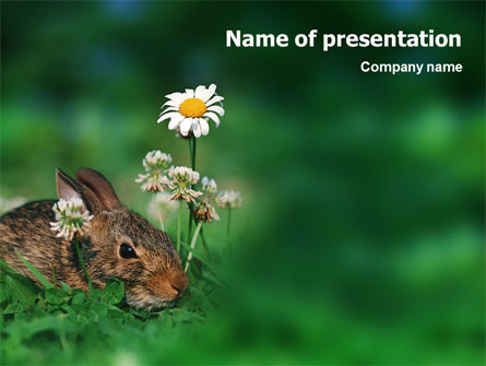 Rabbit Presentation Template, Master Slide