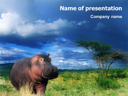 Hippopotamus Presentation Template, Master Slide