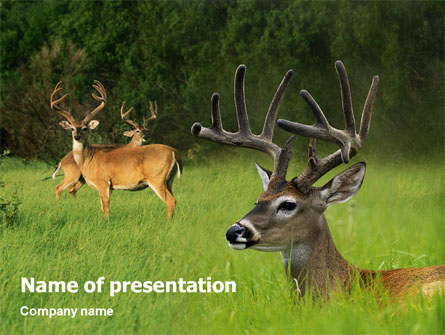 Deer Presentation Template, Master Slide