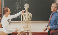 Anatomy Class Presentation Template