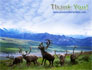 Deers On The Mountain Pastures slide 20
