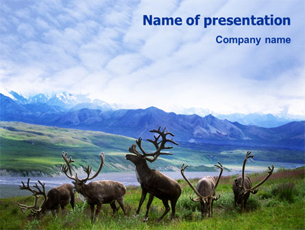 Deers On The Mountain Pastures Presentation Template, Master Slide