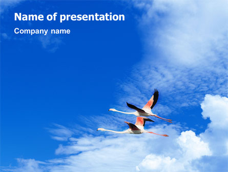 Flying Flamingo Presentation Template, Master Slide