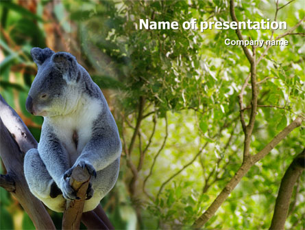 Koala Presentation Template, Master Slide