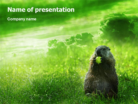 Groundhog Presentation Template, Master Slide
