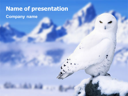 Snowy Owl Presentation Template, Master Slide