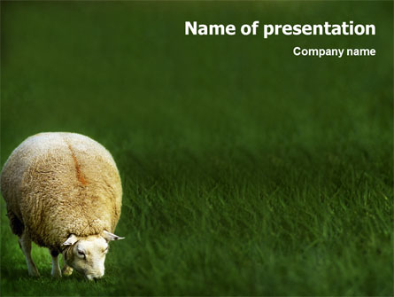 Sheep Presentation Template, Master Slide