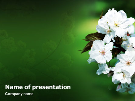 Blooming Cherry Tree In The Spring Presentation Template, Master Slide