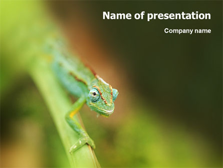 Chameleon Presentation Template, Master Slide