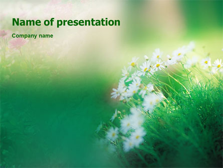 Spring Chamomiles Presentation Template, Master Slide