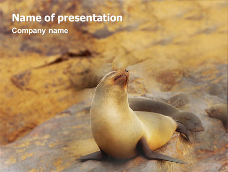 Sea Lion Presentation Template, Master Slide