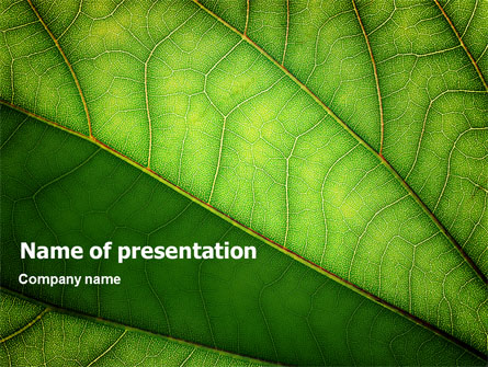 Botany Presentation Template, Master Slide