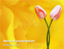 Tulip On A Yellow slide 1