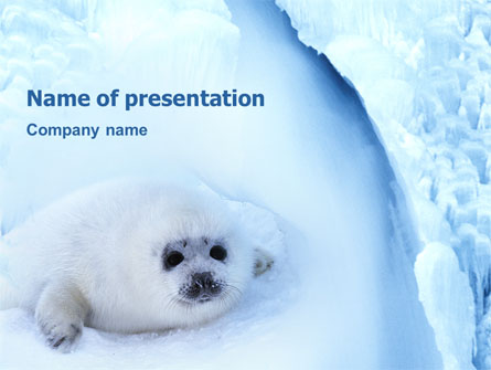 Fur-Seal Presentation Template, Master Slide