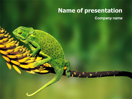 Chameleon Lizard Presentation Template, Master Slide