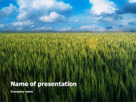 Grain Presentation Template, Master Slide