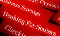Savings and Credits Presentation Template