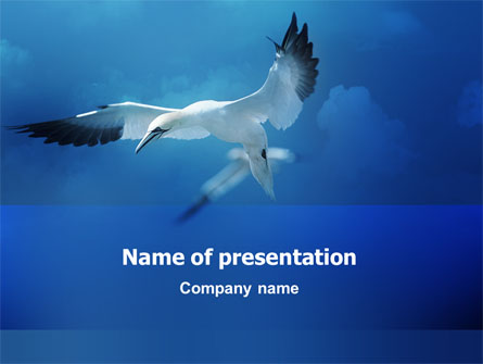Albatross Presentation Template, Master Slide
