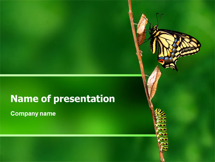 Butterfly And Caterpillar Presentation Template, Master Slide