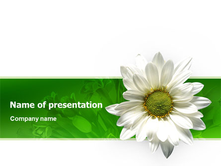 Ox-eye Daisy Presentation Template, Master Slide