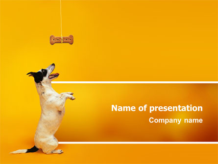 Pet Presentation Template, Master Slide